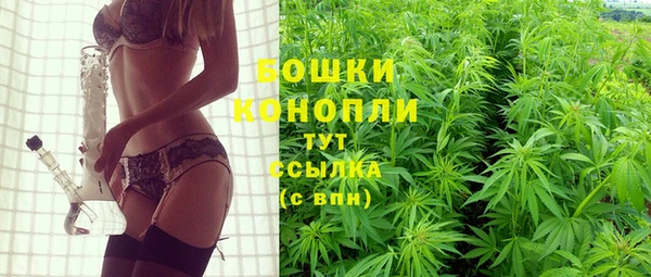 СК Верхний Тагил