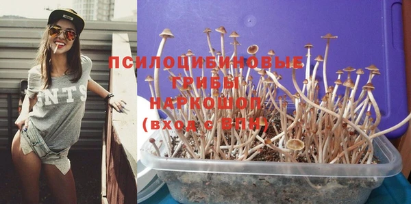 гидра Верея