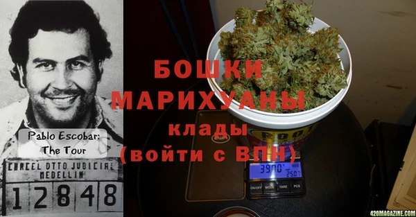 гидра Верея