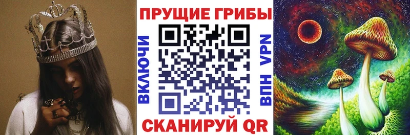 Галлюциногенные грибы мухоморы  Купить где  Минеральные Воды 